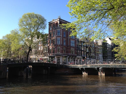 アムステルダム, オランダ, タウンハウスの無料の写真素材