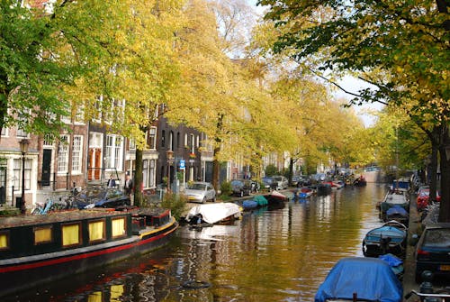 Gratis lagerfoto af Amsterdam, efterår, flod