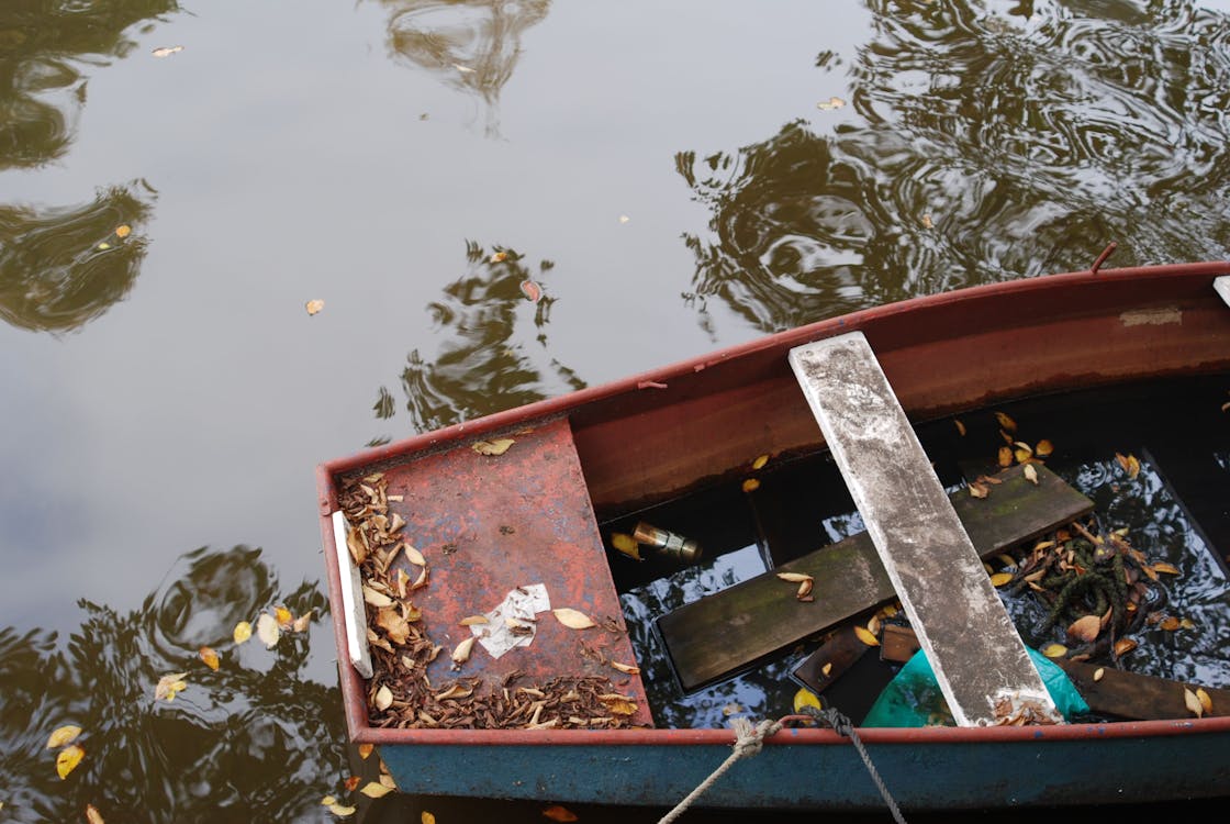 Darmowe zdjęcie z galerii z jesień, liście, łódź