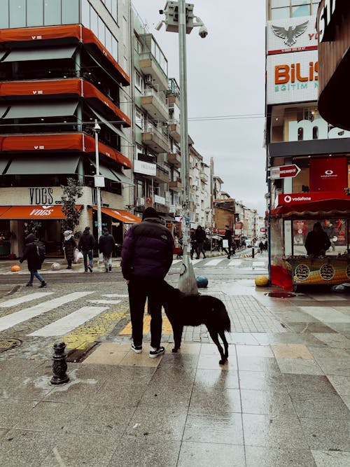 Man with Dog in City