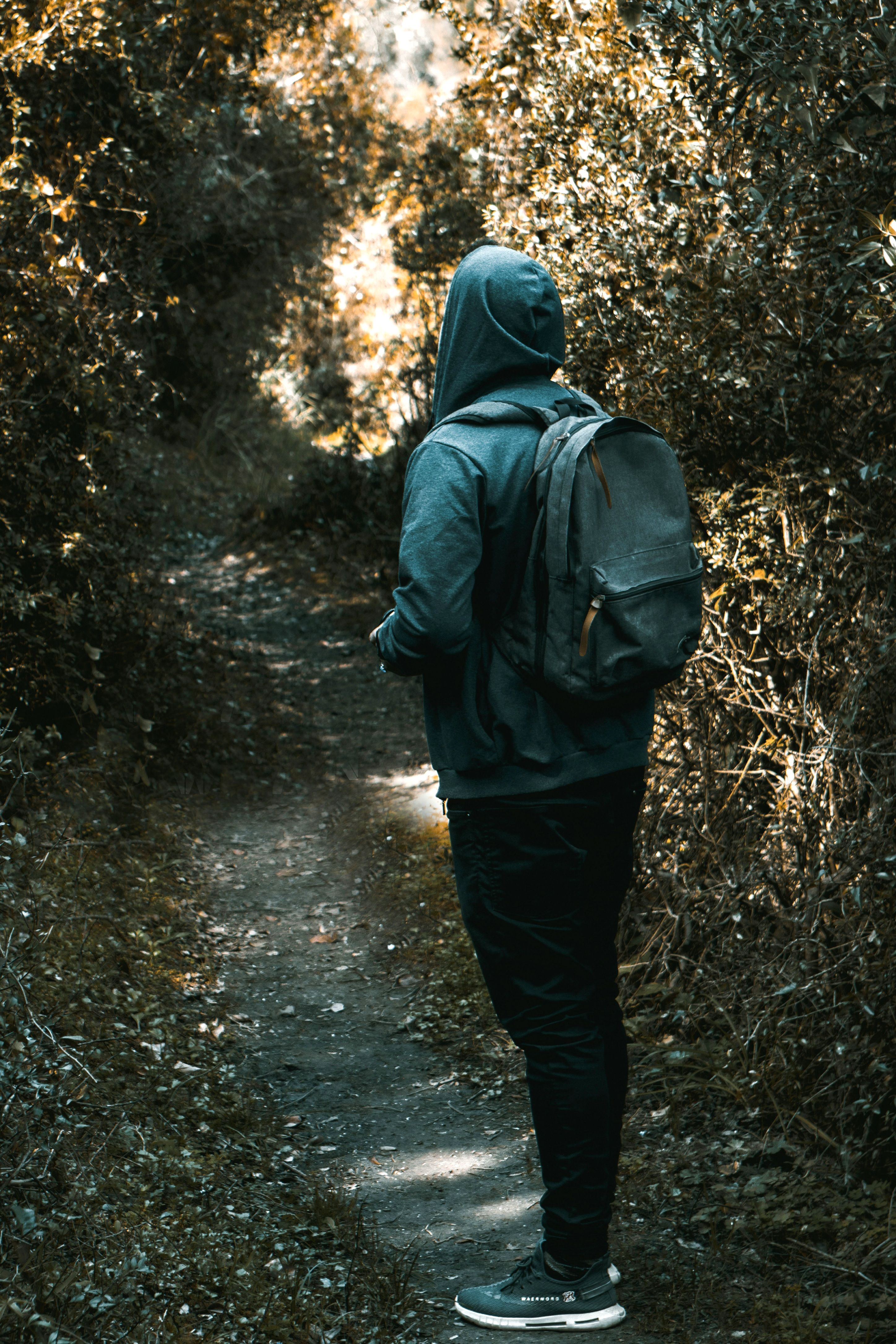 A Man with a Backpack Standing on a Footpath in a Forest · Free Stock Photo