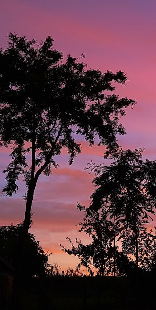 Foto stok gratis langit merah muda, matahari terbenam yang indah, wallpaper estetika