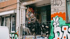Elderly man with his dogs on a colorful graffitied balcony in an urban setting.