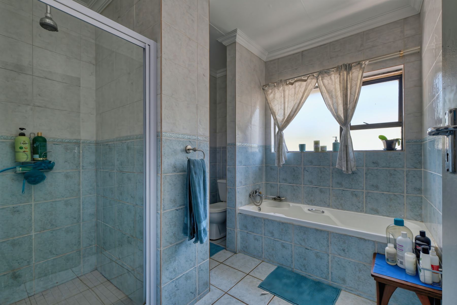 Blue applied at architectural scale across walls around bath and shower zones