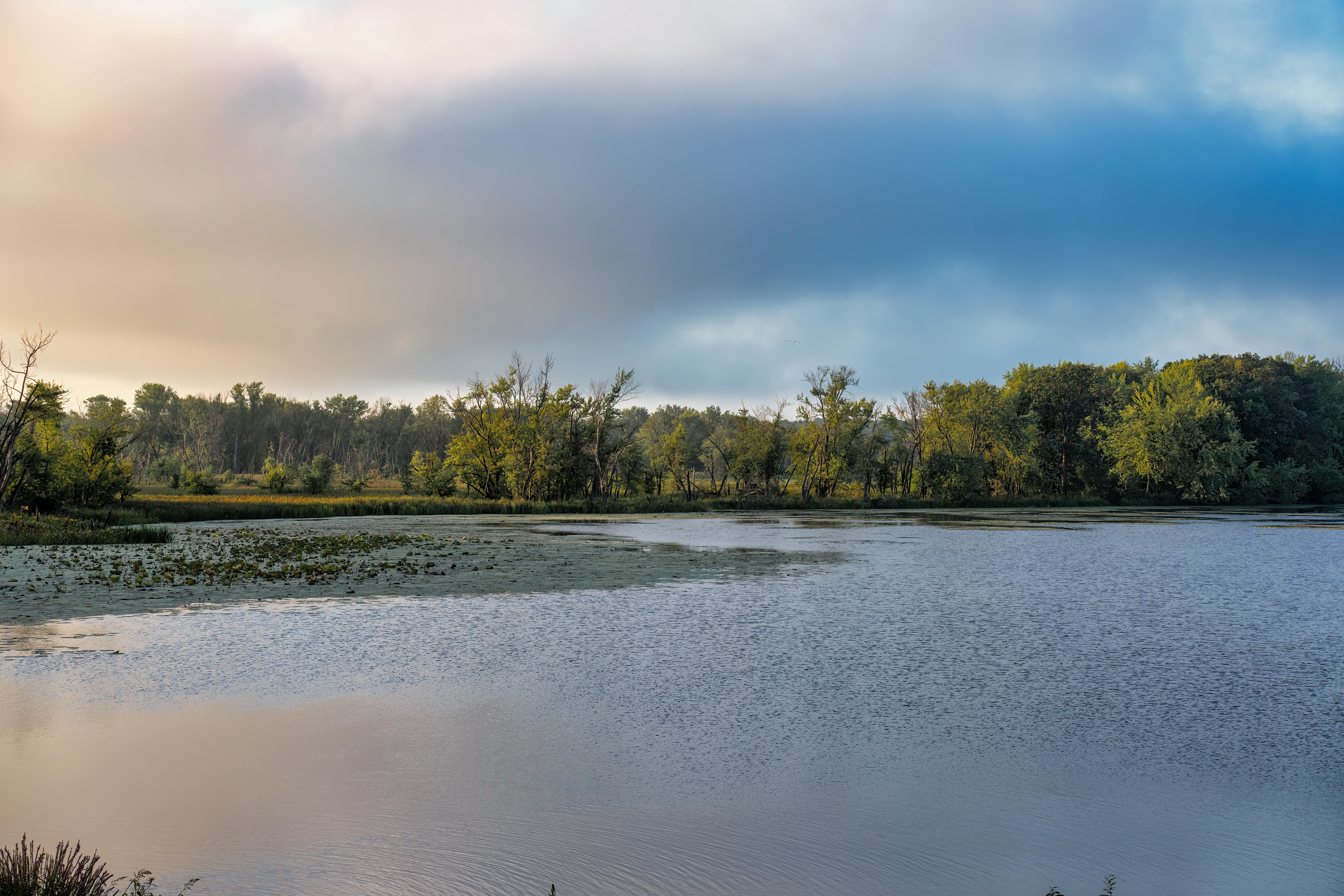 DuPage Forest Preserve executive director leaving for city manager job in Florida — Photo by Tom Fisk on Pexels