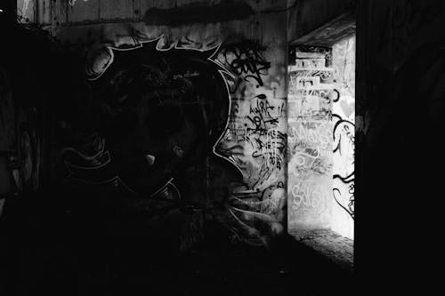 Graffiti in a Tunnel in Black and White 