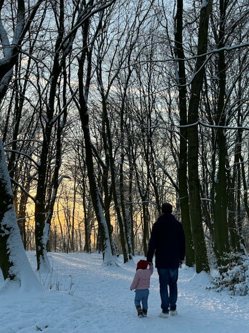 Bruxelles sous la neige 