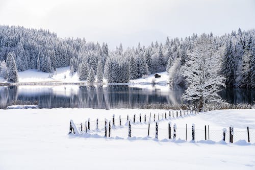 A snowy landscape with a lake and fence