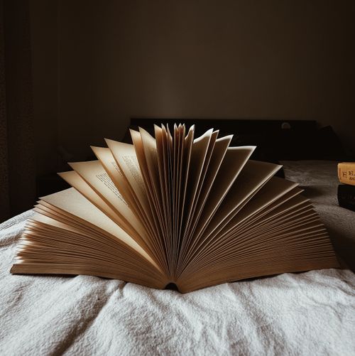 Free Elegant open book on a bed against a warm and moody background, perfect for literature themes. Stock Photo