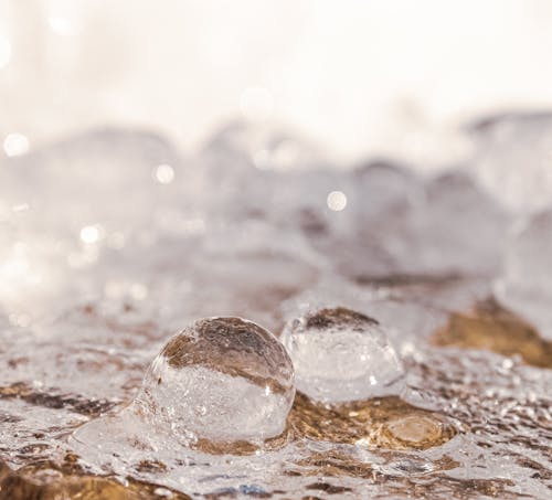 Free stock photo of ice, macro, macro photography