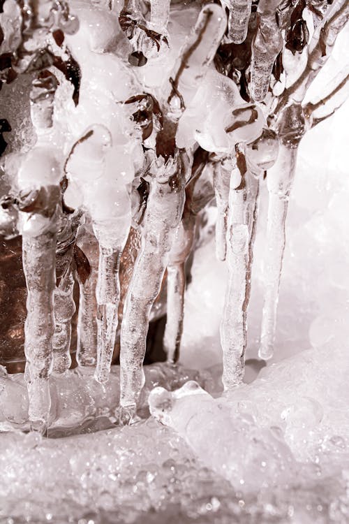 Бесплатное стоковое фото с зима, лед, макросъемка