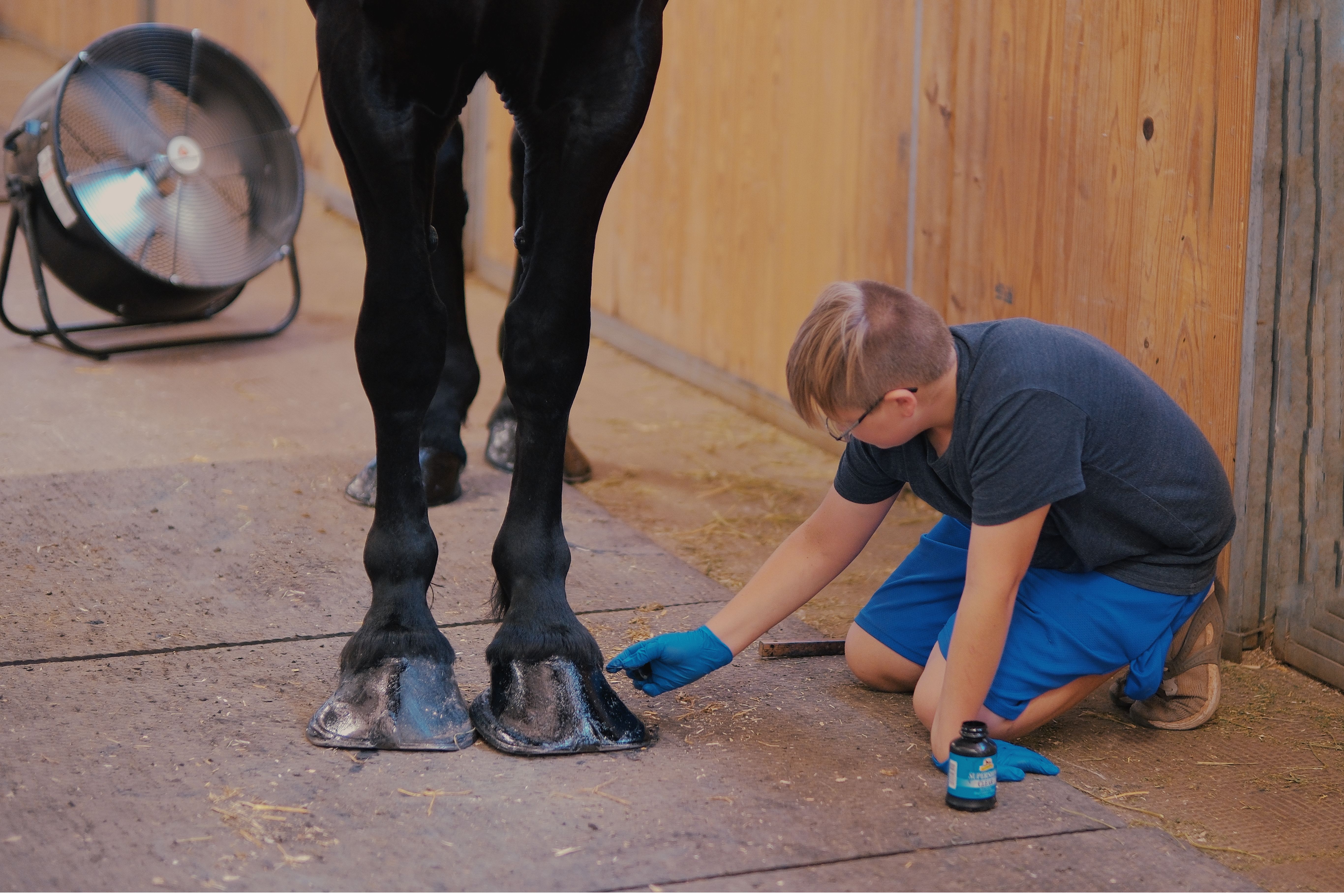 epiq Animal Health and Interpath Global Celebrate One Year in United States Distribution and E-Commerce - EquiManagement — Ph
