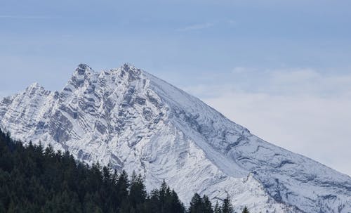 View of a Green Forest in a Valley and a Rocky, Snowcapped Mountain