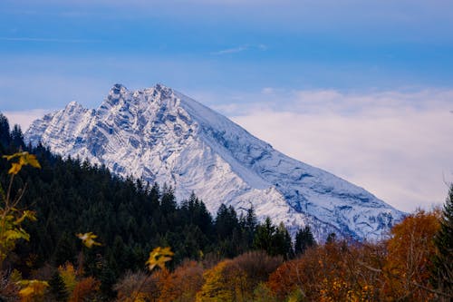 Scenic View of an Autumnal Forest and Snowcapped Mountain