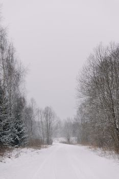 A serene snow-covered path in a winter forest surrounded by bare trees.