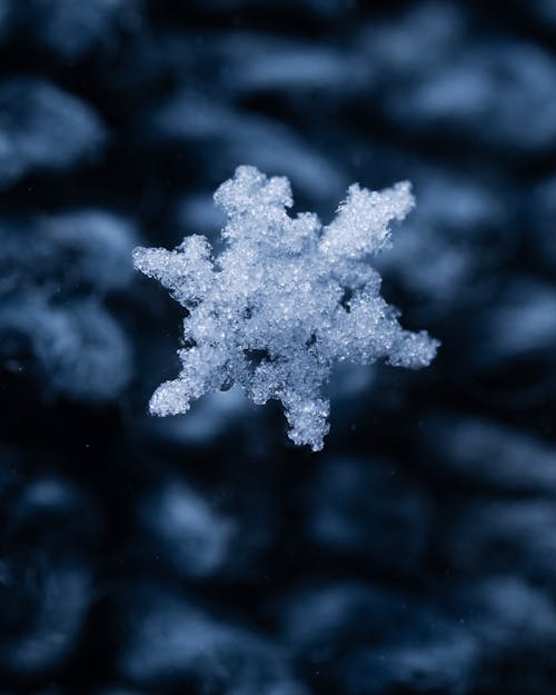 Foto d'estoc gratuïta de congelat, constipat, floc de neu