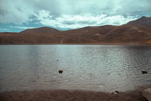 Foto profissional grátis de água, céu, colinas