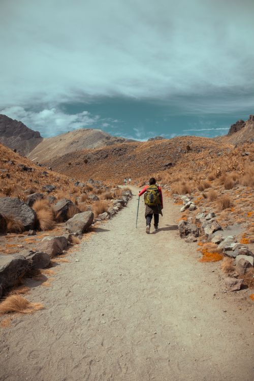 Free A solitary hiker on a scenic trail in Nevado de Toluca, Mexico, under a stunning sky. Stock Photo