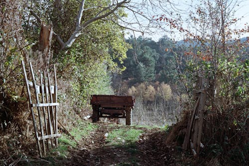 Безкоштовне стокове фото на тему «вантажівка, Ворота, дерева»