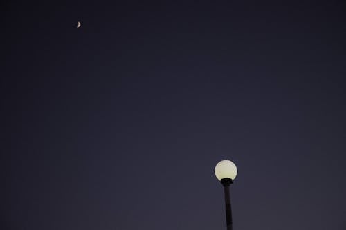 Screscent Moon in the Night Sky over a Streetlamp