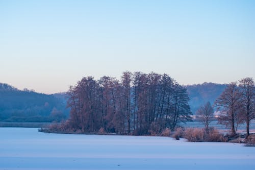 View of a Snowy Field and Trees in Autumnal Colors 