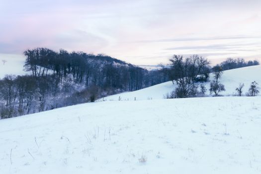 Serene snowy landscape with leafless trees in Grevenmacher, capturing the tranquil winter beauty.