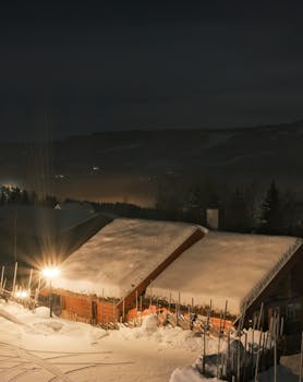 A serene winter night scene with snow-covered cottage and rooftop lights in a rural setting.