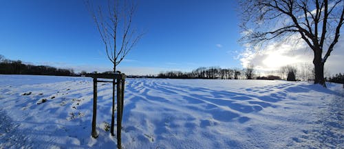 fielet, 下雪, 全景 的 免費圖庫相片