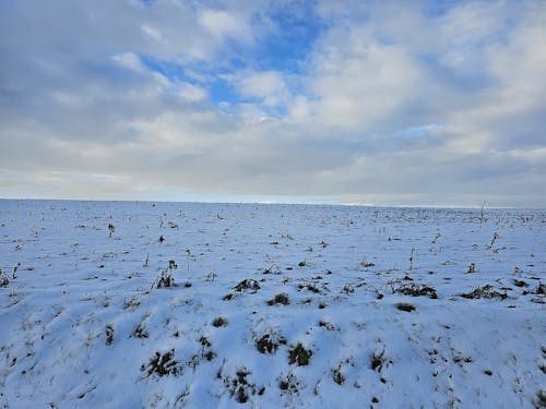 下雪, 下雪的, 冬天的天空 的 免費圖庫相片