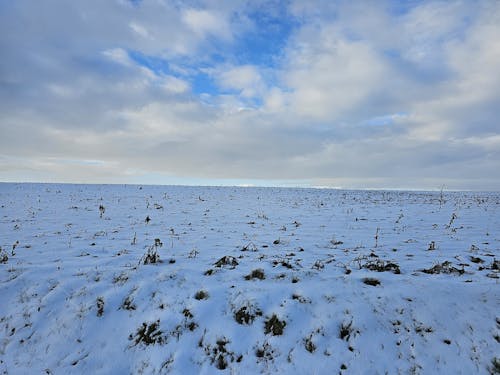 Kostenloses Stock Foto zu belgien, blauer himmel, entspannte atmosphäre