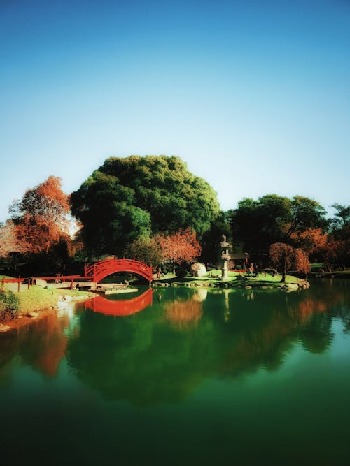 Free stock photo of beautiful nature, buenos aires, japanese garden