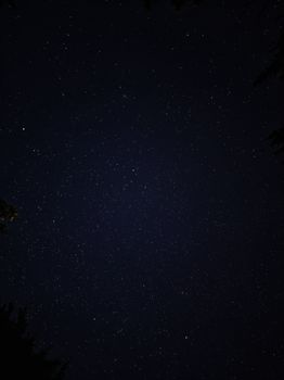 A stunning vertical shot of a starry night sky, perfect for astronomy enthusiasts.