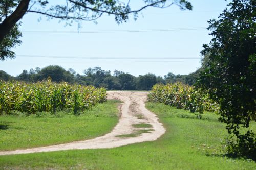 Free Drive way Stock Photo
