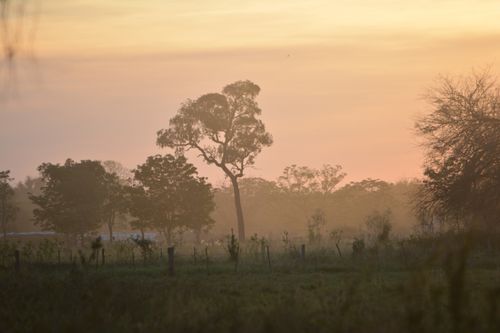 Free sunset scenes  Stock Photo