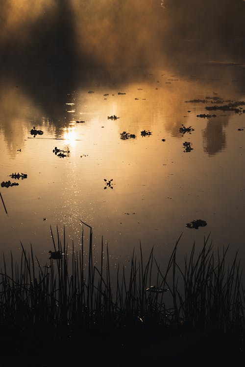 Fotobanka s bezplatnými fotkami na tému jazero, krajina, odlesk