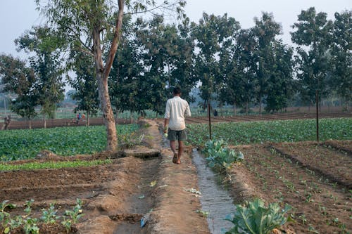 Man Walking on Field