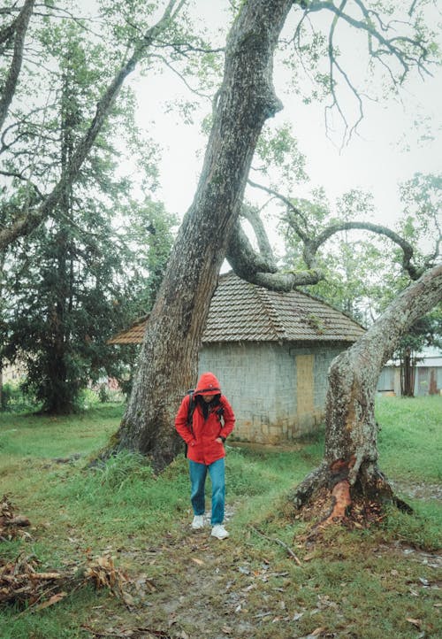 Man in a Red Jacket Looking for Mushrooms Outside the Village