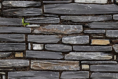 Close up of Wooden Wall