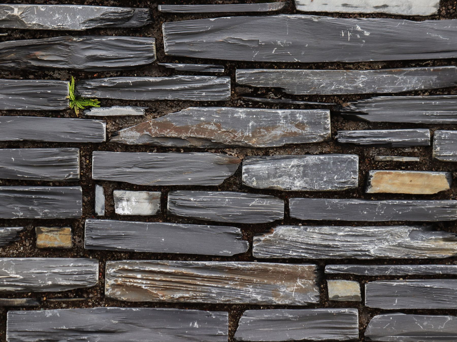 Masonry and Render Painting in Edmonton — clean edges cut in around trim and sockets