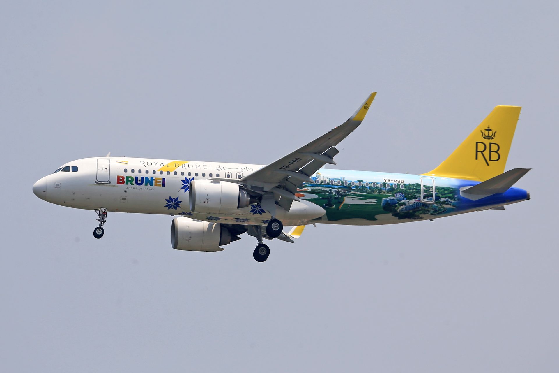 Royal Brunei Airlines Airbus A320neo airplane in flight displaying unique livery.