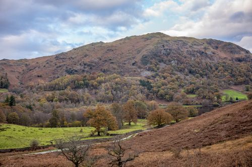 Free Explore the tranquil autumn landscape with rolling hills and vibrant foliage. Stock Photo