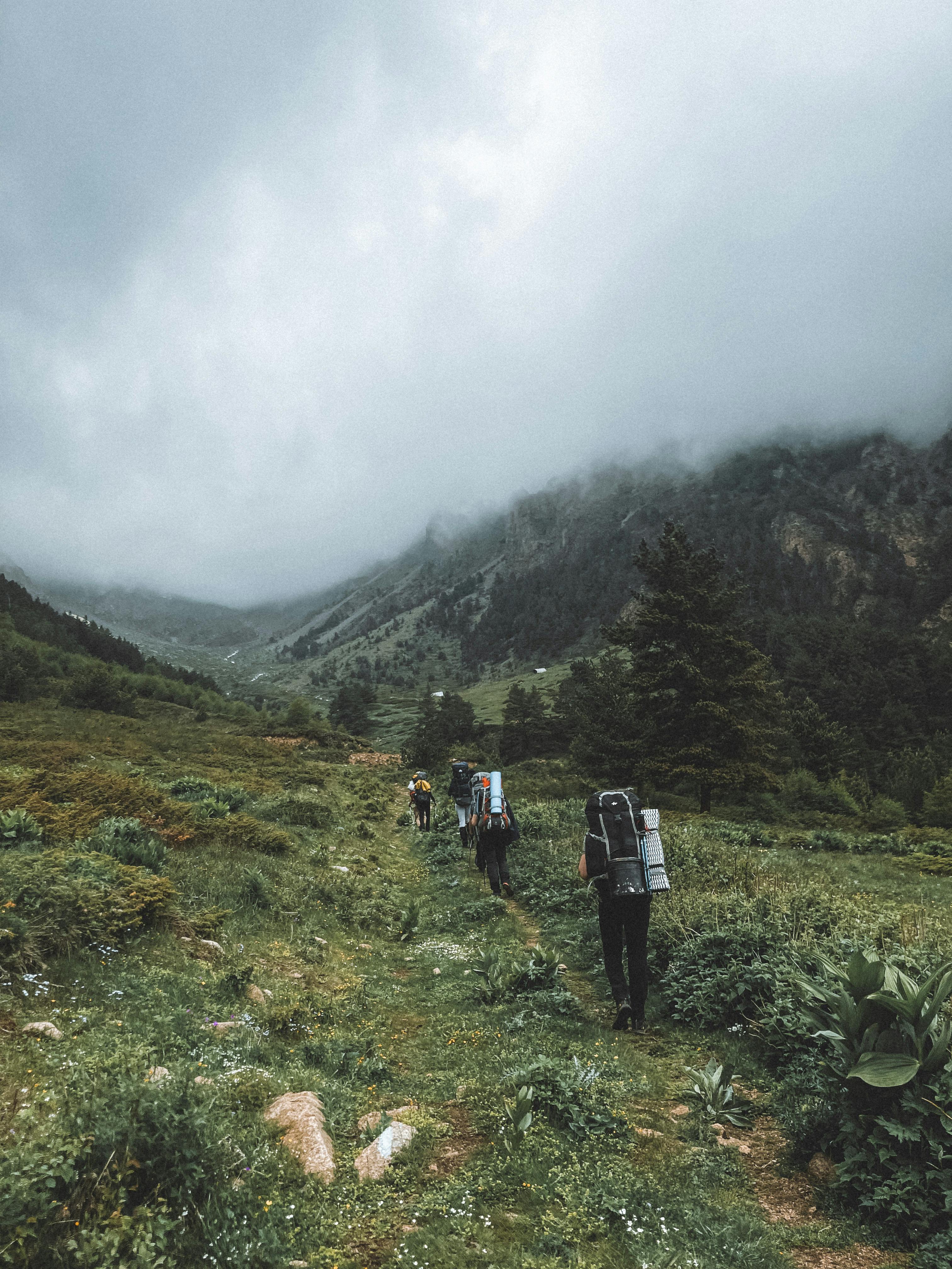 Hikers explore a lush meadow with mist-covered mountains in the background.