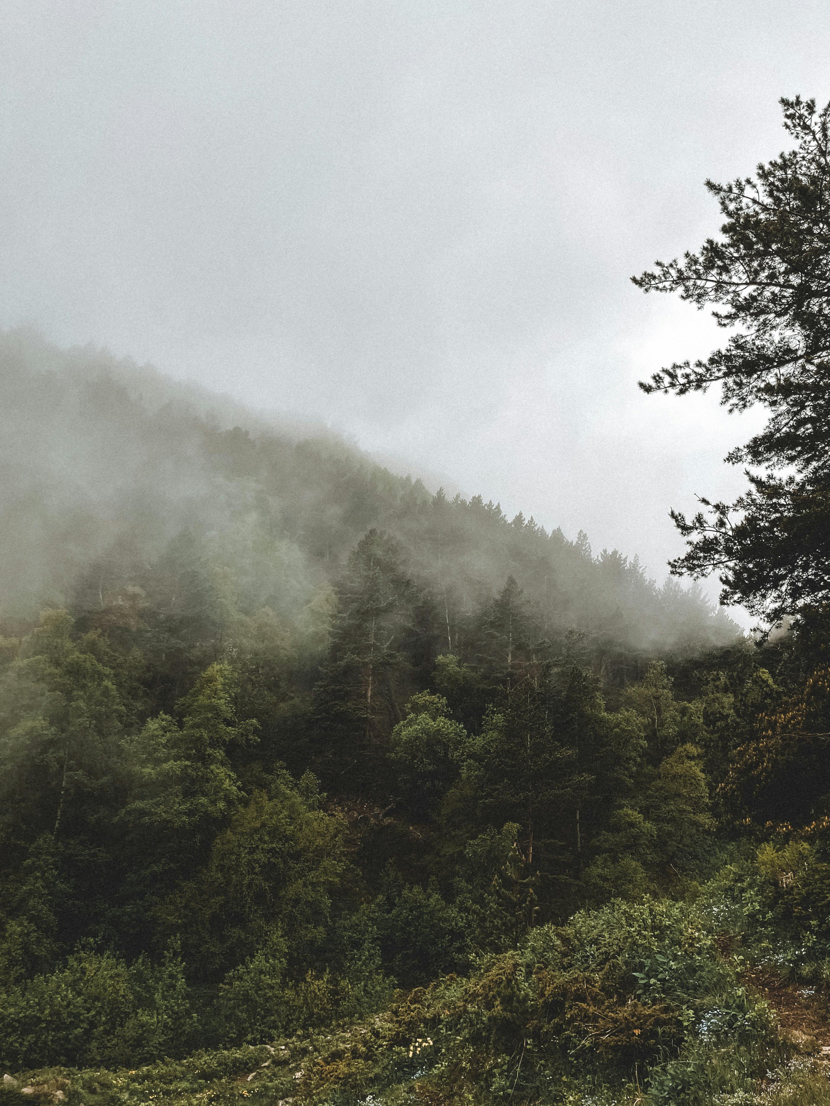 10+ Foto Galak Terbaik · Unduh Gratis 100 · Foto Stok Pexels