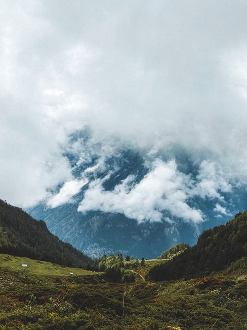 Fotomural Serena paisaje montañoso con nubes cubriendo los picos, vegetación exuberante en primer plano.