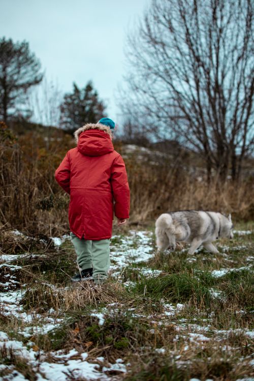 Free A child in a red coat walks a dog in a snowy field, capturing a serene winter moment. Stock Photo