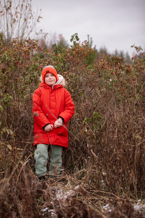 Free A young child in a vibrant red coat stands amidst winter shrubbery in an outdoor setting. Stock Photo