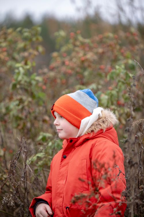 Free A child in a red jacket stands in an autumn meadow surrounded by dry plants, wearing a colorful knit hat. Stock Photo
