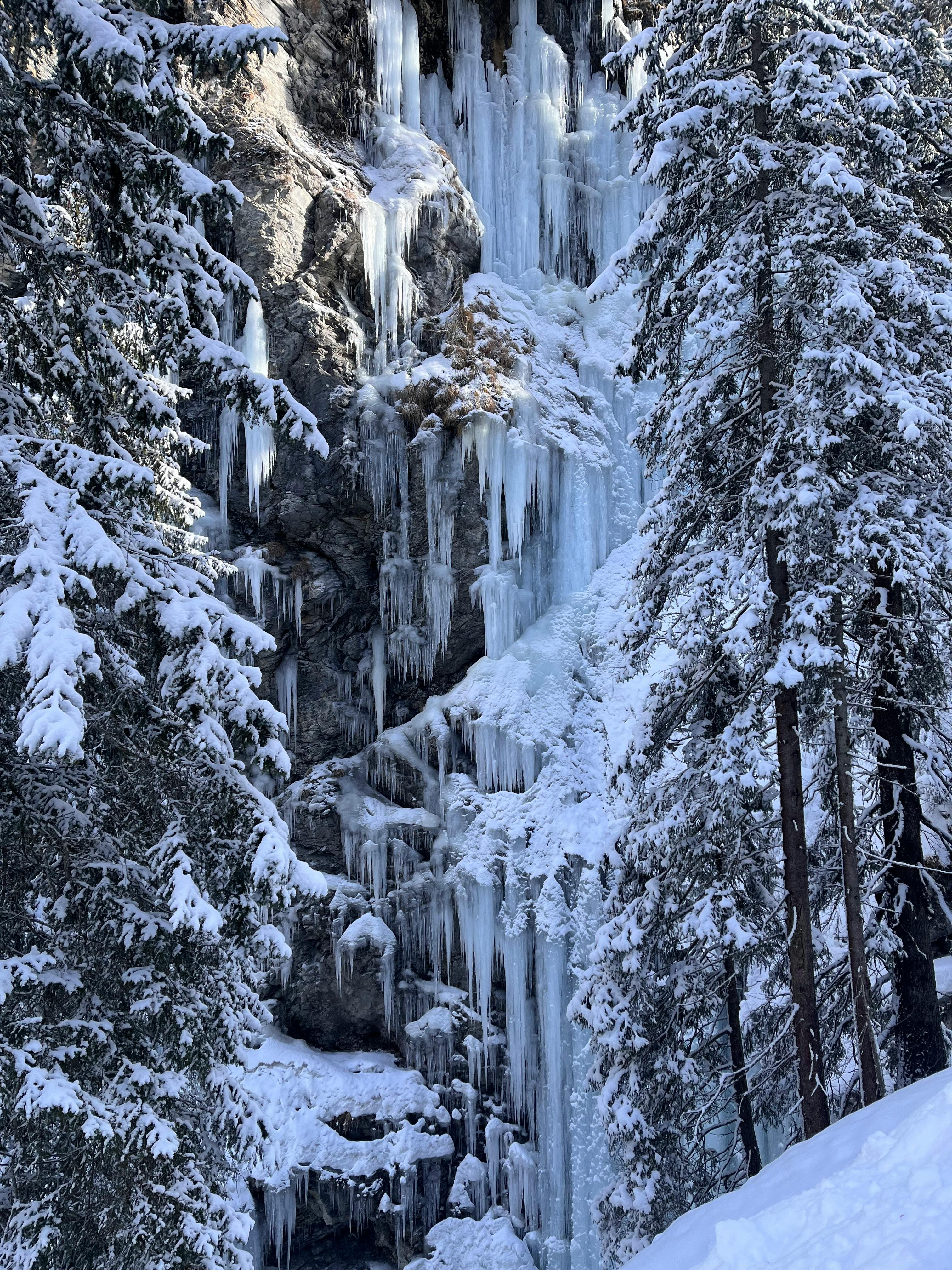 Captivating snow-covered forest with a frozen waterfall in Arosa, Switzerland; a winter wonderland.