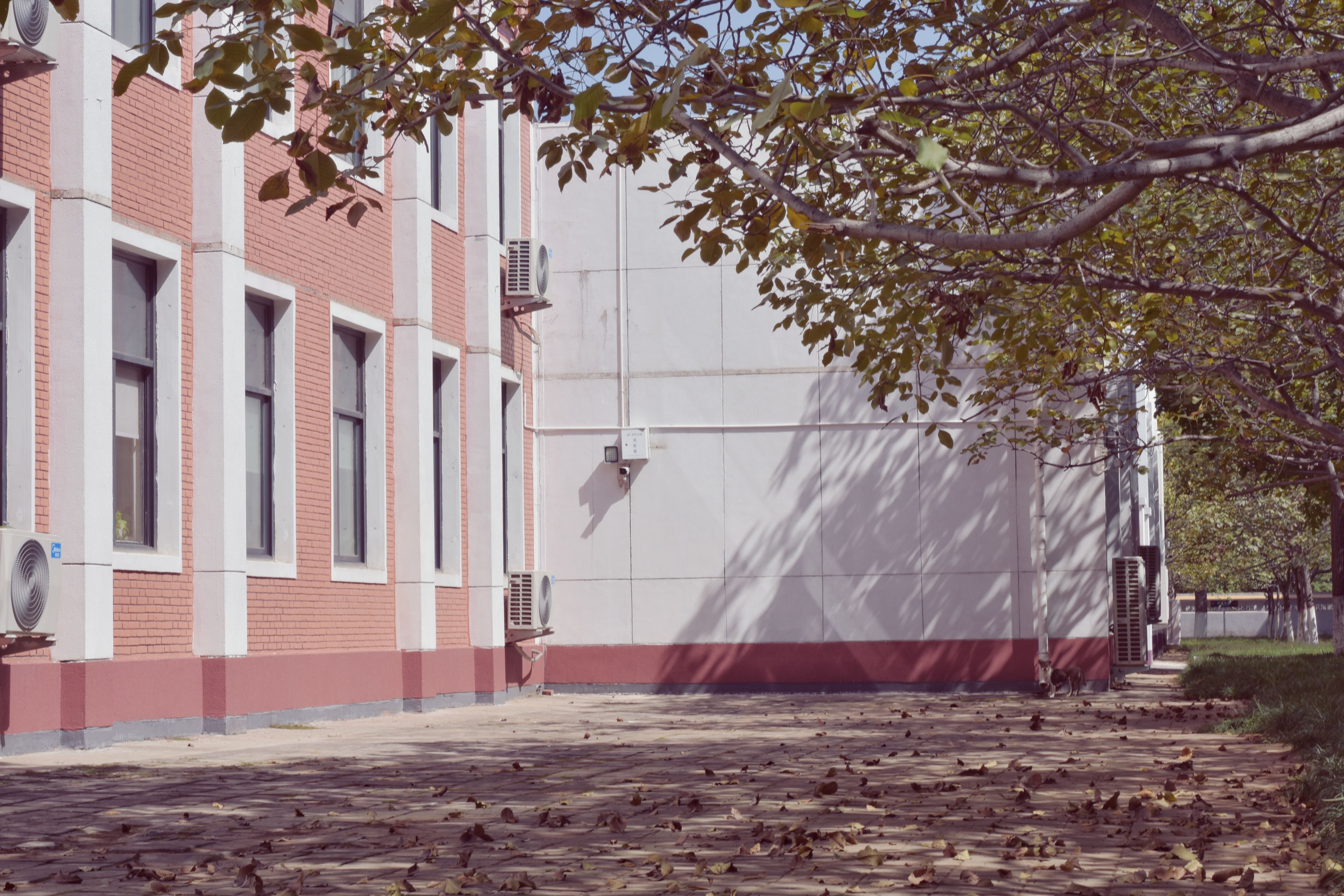 HARBIN INSTITUTE OF TECHNOLOGY