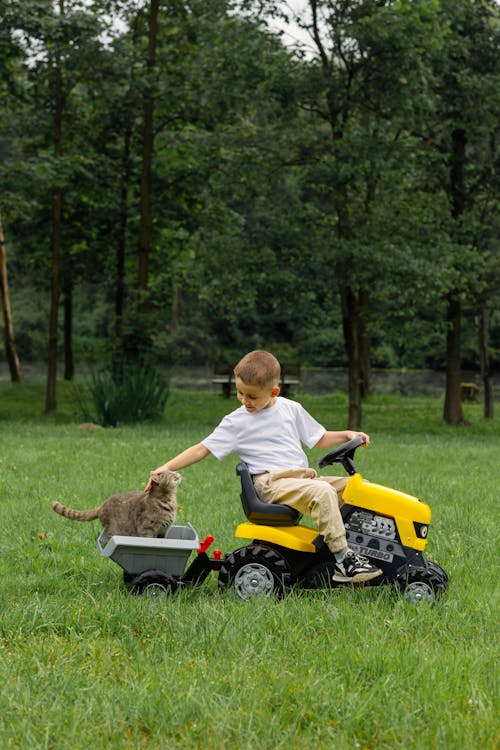 Boy Sitting on Toy Tractor and Patting Cat